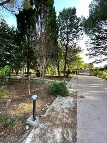 B&B A Pochi Passi Dal Mare Giovinazzo Bagian luar foto
